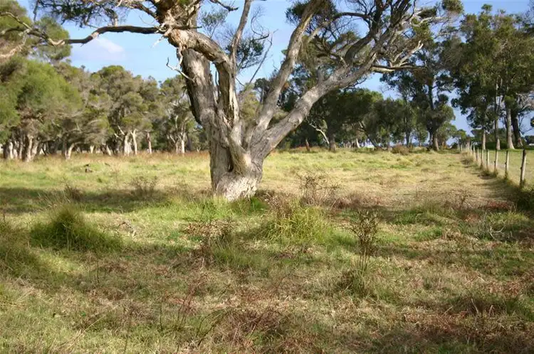 Third view of Homely land listing, 103 Willyung Road, Willyung WA 6330