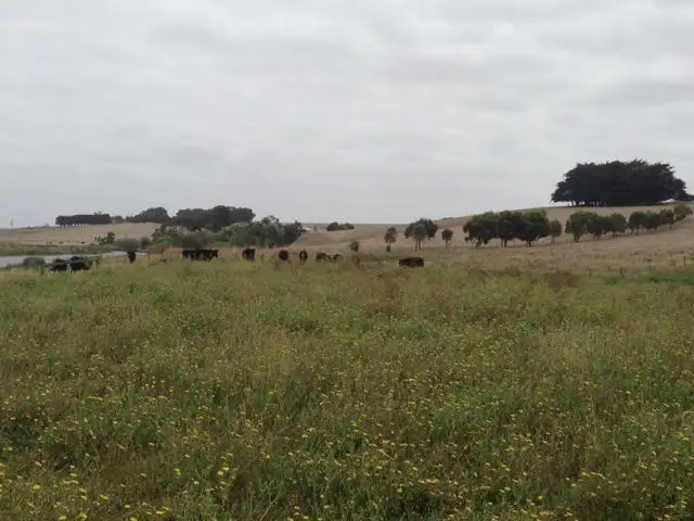 Seventh view of Homely land listing, 5 Briars Lane, Warrnambool VIC 3280