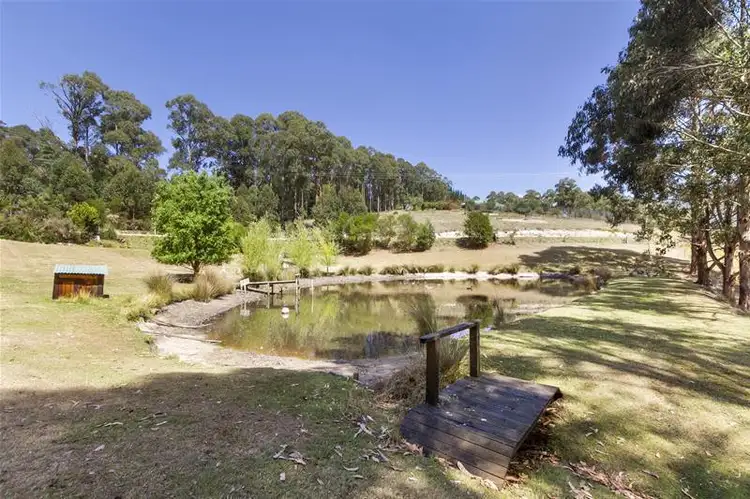 Fourth view of Homely house listing, 95 Misty Hill Road, Mountain River TAS 7109