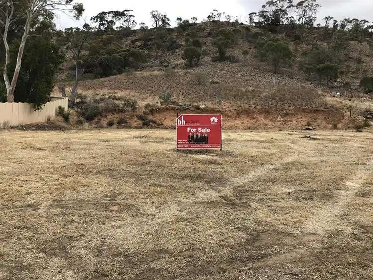Second view of Homely land listing, 64 Tom Groggin Drive, Younghusband SA 5238