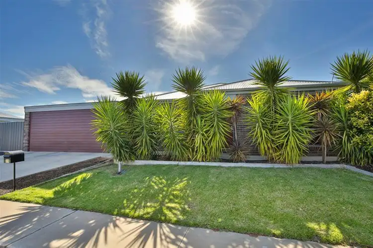 19 Anne Cox Drive, Red Cliffs VIC 3496