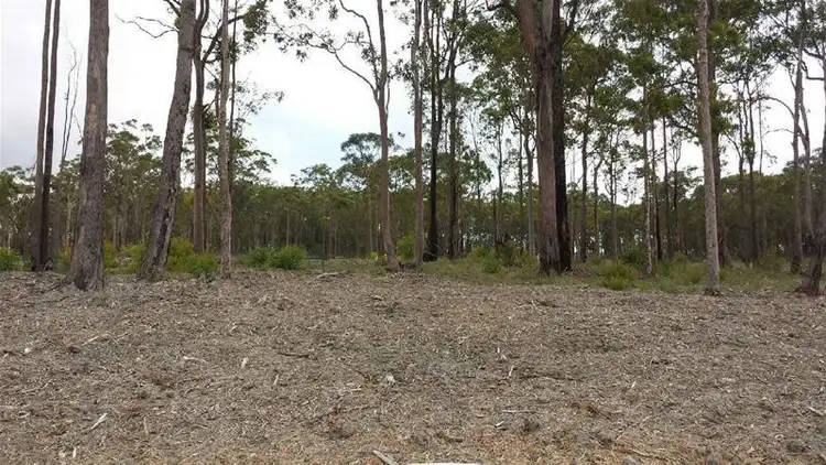 54 Blackwood Circuit, Cameron Park NSW 2285