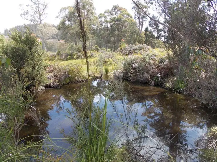 Fifth view of Homely house listing, 165 Krauses Road, Lower Longley TAS 7109