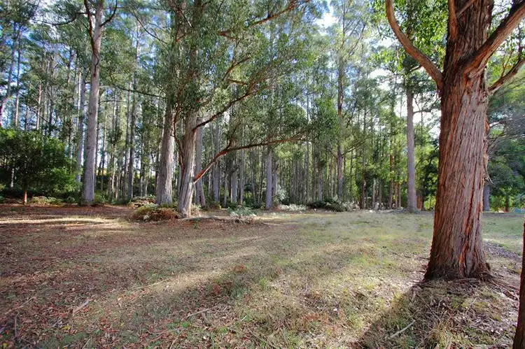 Second view of Homely land listing, Lot 1 Cross Road, Nicholls Rivulet TAS 7112