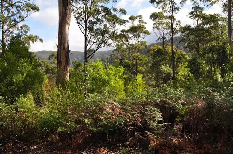 Fifth view of Homely land listing, Lot 3 Bakers Creek Road, Lucaston TAS 7109