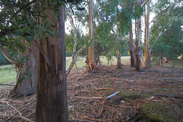 Fourth view of Homely land listing, Lot 1 Fourfoot Road, Geeveston TAS 7116