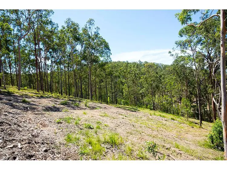 Second view of Homely land listing, 158 Ridgeline Court, Mount Nathan QLD 4211