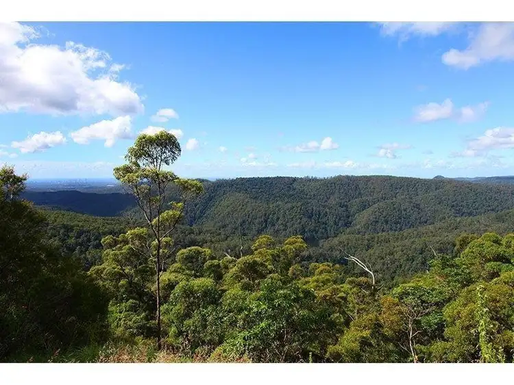 Fourth view of Homely house listing, 2196 Springbrook Road, Springbrook QLD 4213