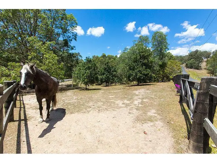 Fourth view of Homely house listing, 41 Purcell Road, Guanaba QLD 4210