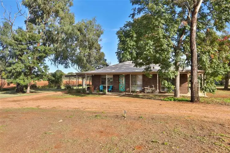 Main view of Homely house listing, 12 Freeman Road, Red Cliffs VIC 3496