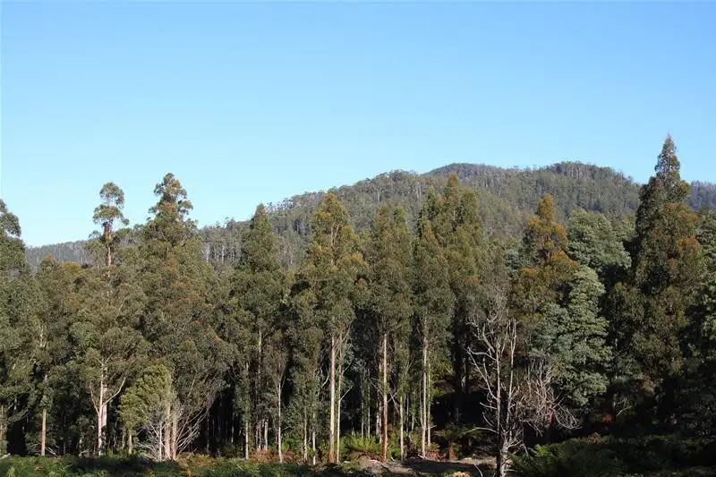 Main view of Homely land listing, 2 Lots off Bakers Creek Road, Lucaston TAS 7109