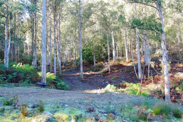 Sixth view of Homely land listing, 2 Lots off Bakers Creek Road, Lucaston TAS 7109