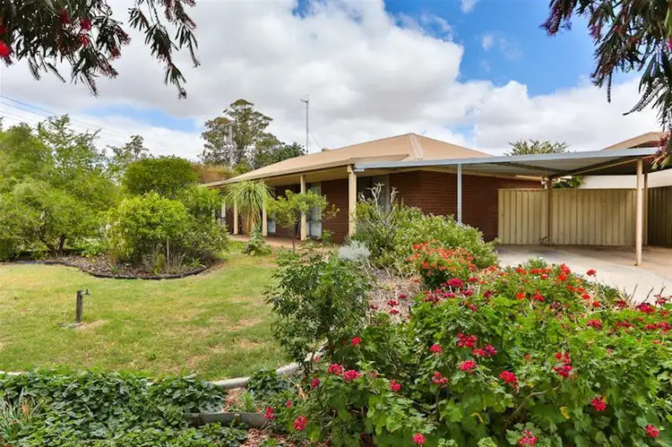 Main view of Homely house listing, 1 Ramsay Court, Red Cliffs VIC 3496