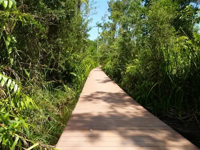 Fourth view of Homely land listing, LOT 45/Lot 45 Sandpiper Close, Mission Beach QLD 4852