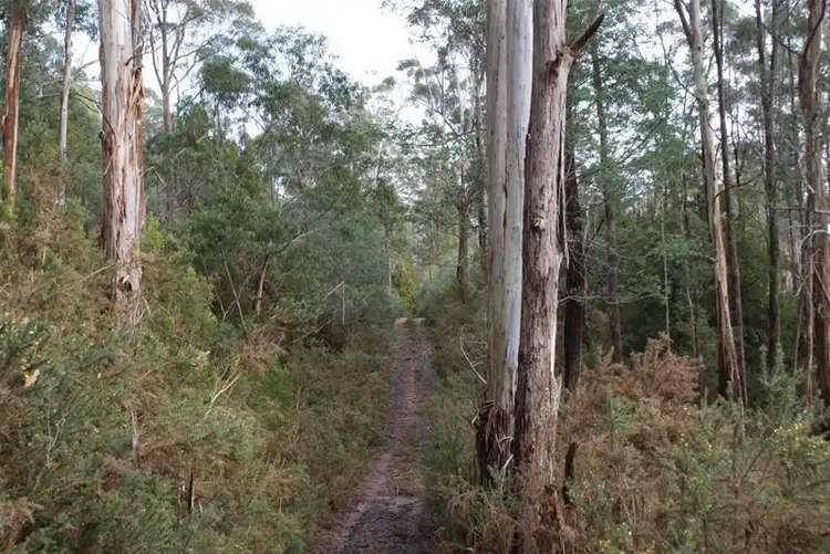 Second view of Homely land listing, Lot 2 Pumicestone Road, Deloraine TAS 7304