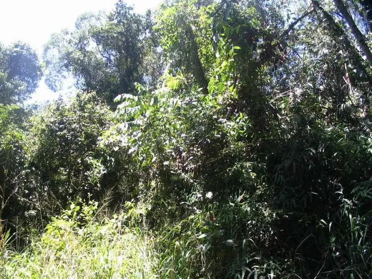 Second view of Homely land listing, LOT 404/Lot 404 Granadilla Road, Granadilla QLD 4855