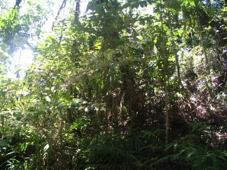 Fourth view of Homely land listing, LOT 404/Lot 404 Granadilla Road, Granadilla QLD 4855