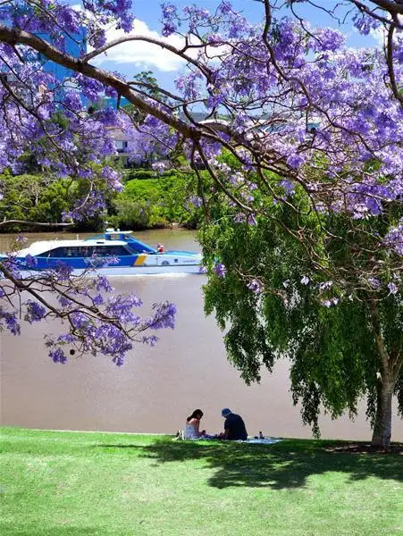 Third view of Homely apartment listing, 2405/35 Rogers Street, West End QLD 4101