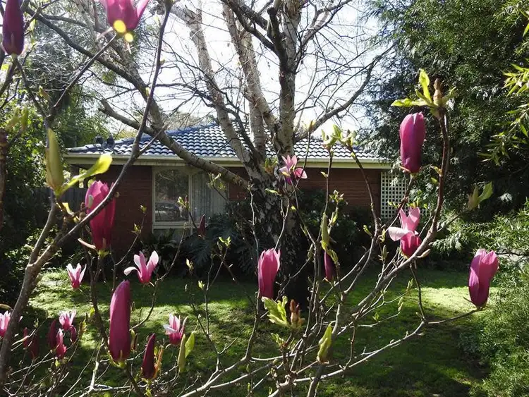 Main view of Homely house listing, 101 Princes Highway, Beaconsfield VIC 3807