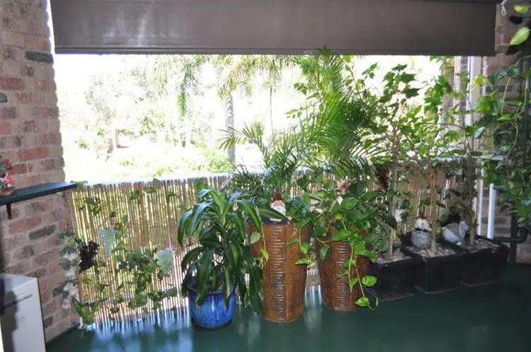 Seventh view of Homely unit listing, 6/5 Rolan Court, Palm Beach QLD 4221