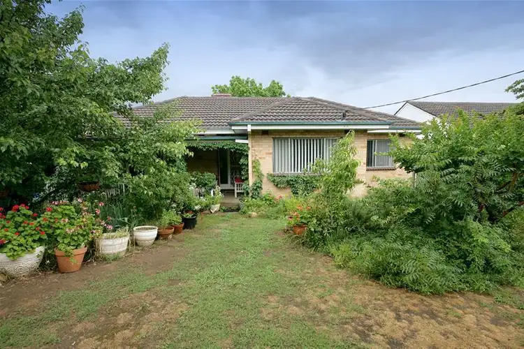 Main view of Homely house listing, 12 Acacia Street, Wagga Wagga NSW 2650