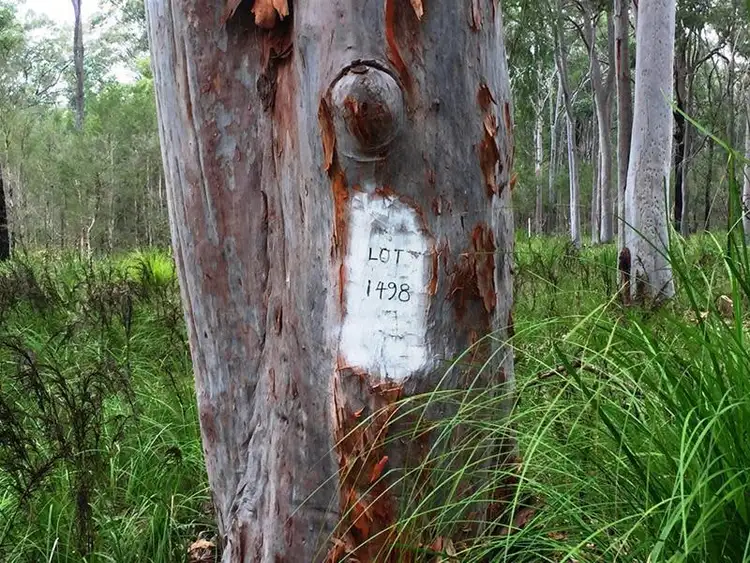 Lot 1498 Lismore Road, North Arm Cove NSW 2324