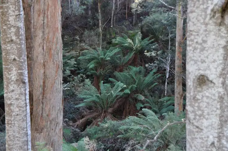 Second view of Homely land listing, Lot 1 Huon Highway, Glendevie TAS 7109