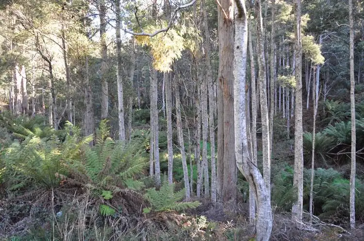 Third view of Homely land listing, Lot 1 Huon Highway, Glendevie TAS 7109