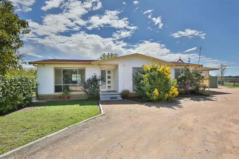 Main view of Homely house listing, 141 Irymple Avenue, Nichols Point VIC 3501