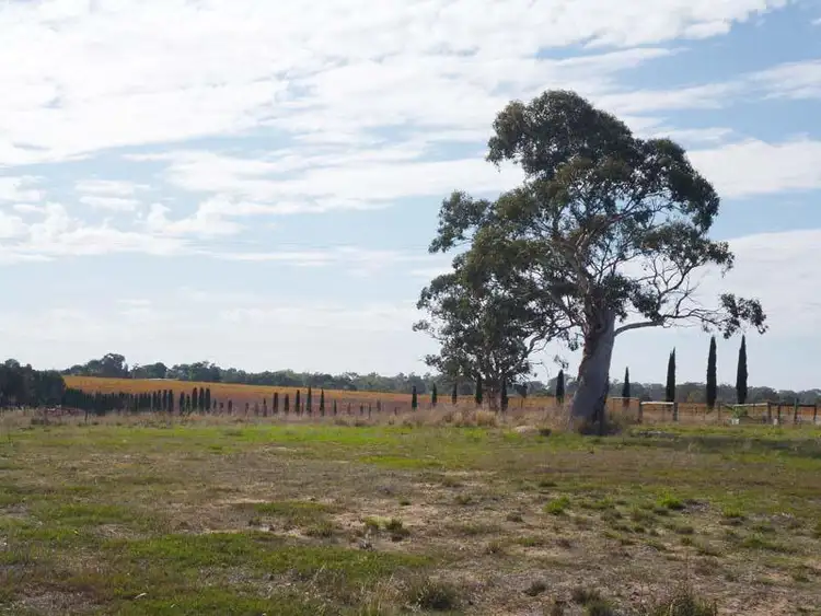 Second view of Homely land listing, Lot 1 Wilkins Road, Naracoorte SA 5271