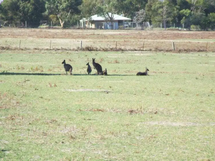 Main view of Homely land listing, 16 Cedar Avenue, Naracoorte SA 5271