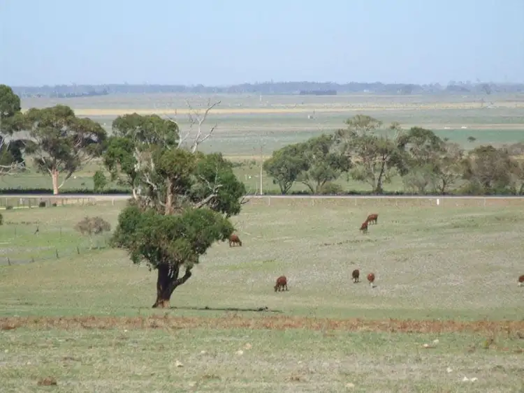 Second view of Homely land listing, 16 Cedar Avenue, Naracoorte SA 5271