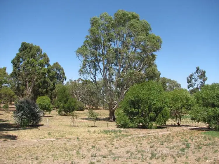 Third view of Homely house listing, 38 Gunning Road, Naracoorte SA 5271