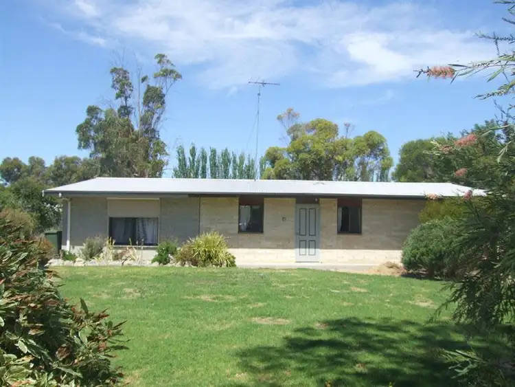Main view of Homely house listing, 21 Jenkins Terrace, Naracoorte SA 5271