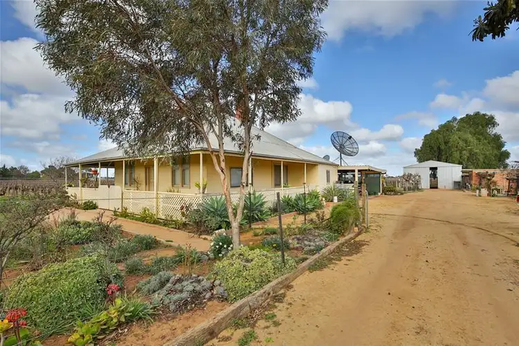 Second view of Homely rural property listing, 149 Channel Road, Merbein VIC 3505