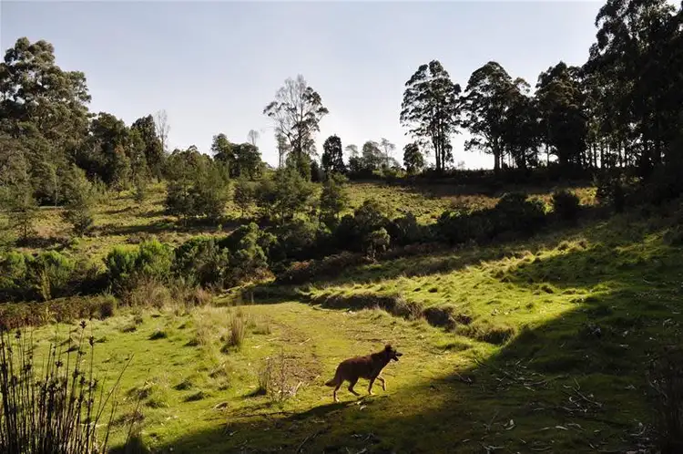 Fifth view of Homely land listing, 1 Harwoods Road, Castle Forbes Bay TAS 7116