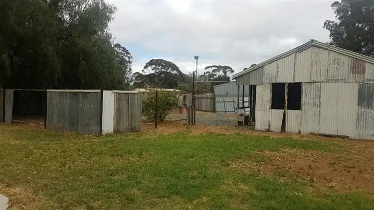 Seventh view of Homely house listing, 29 Prinsep Street, Norseman WA 6443