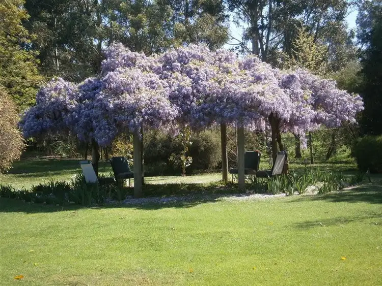 Second view of Homely house listing, 2a Union Street, Donnybrook WA 6239
