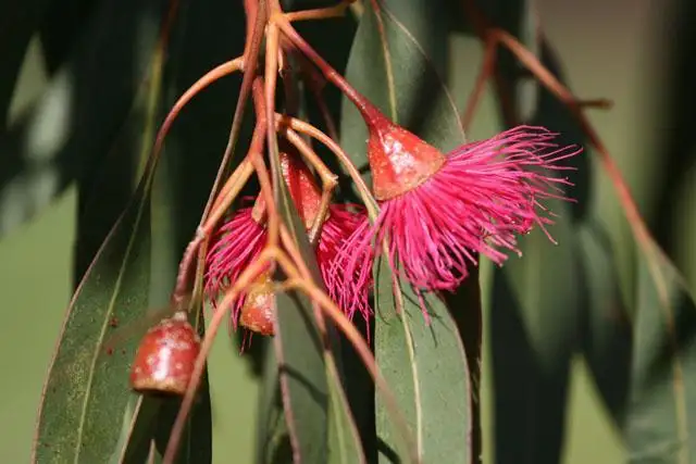 Fourth view of Homely land listing, 259 Sadler Way, Deepdale WA 6532