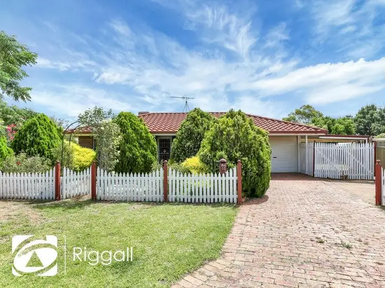 12 St Ives Court, Blakeview SA 5114