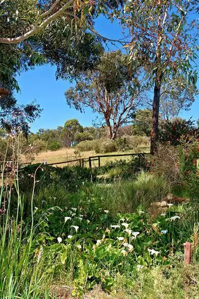 Fifth view of Homely house listing, 346 Cleland Gully Road, Mount Compass SA 5210