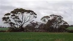 Sixth view of Homely land listing, Lot 5139 Waltham Road, Tammin WA 6409