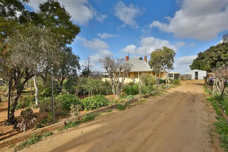 Main view of Homely rural property listing, 149 Channel Road, Merbein VIC 3505