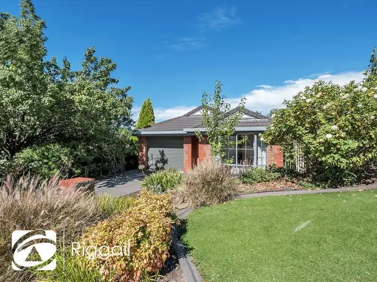 Main view of Homely house listing, 5 Balford Avenue, Greenwith SA 5125