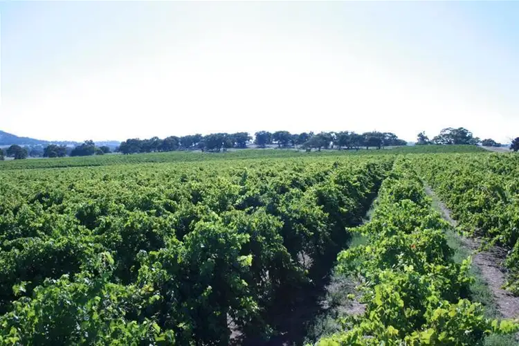 Fifth view of Homely rural property listing, 563 Sugarloaf Road, Great Western VIC 3374