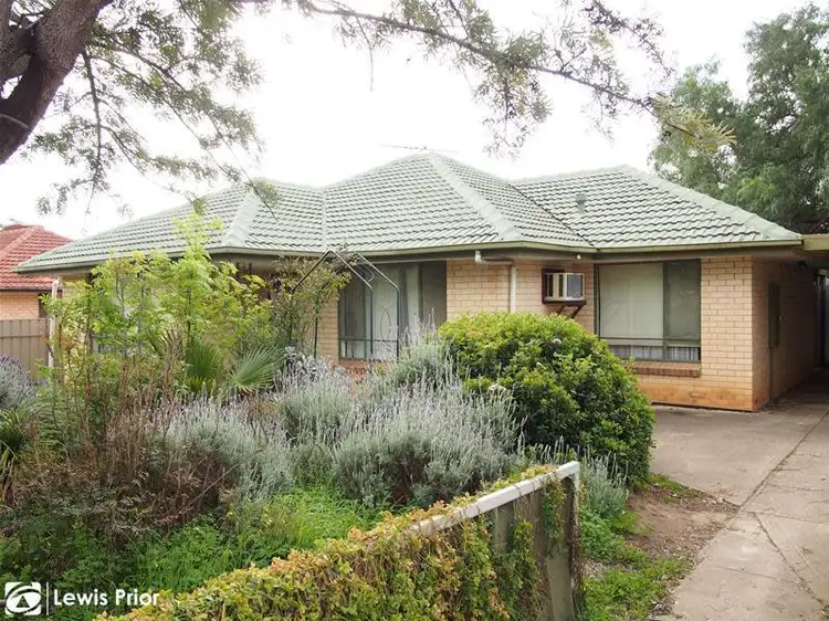 41 Warwick Grove, Morphett Vale SA 5162