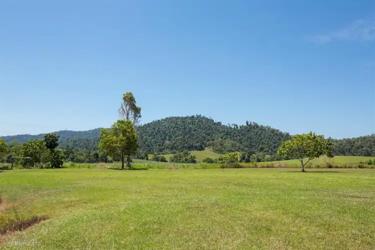 Third view of Homely rural property listing, 91 Walter Lever Estate Road, Silkwood QLD 4856