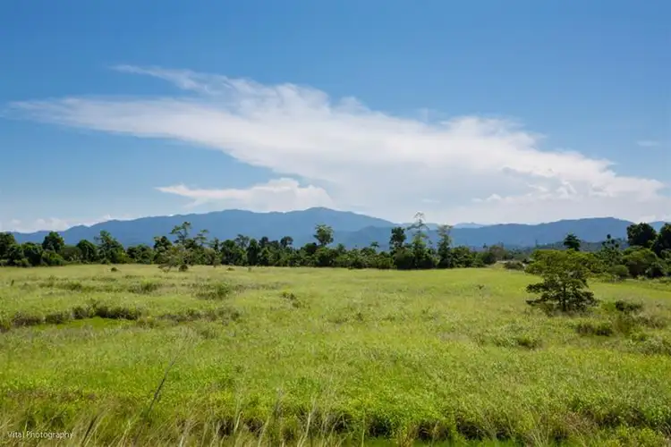 Fifth view of Homely rural property listing, 91 Walter Lever Estate Road, Silkwood QLD 4856