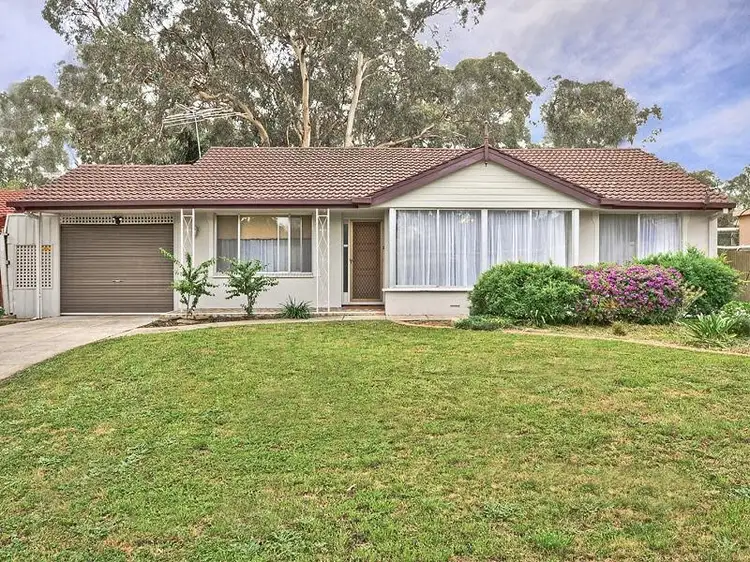 Main view of Homely house listing, 24 Sherwood Drive, Redwood Park SA 5097