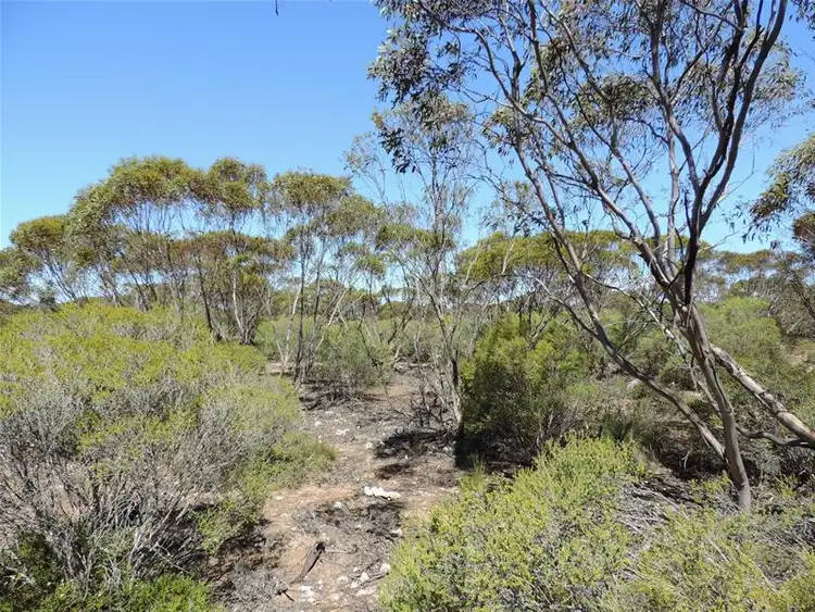Second view of Homely land listing, Lot 3 Coalfield Road, Moorlands SA 5301